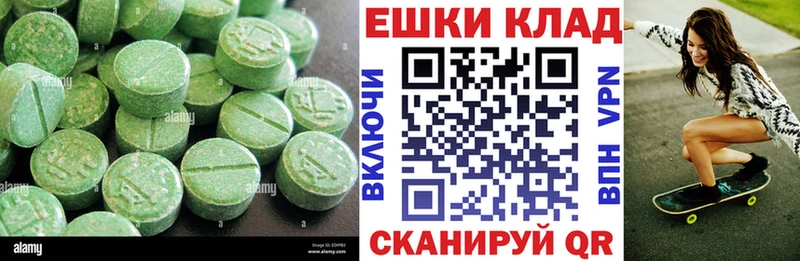 Ecstasy Philipp Plein Дербент